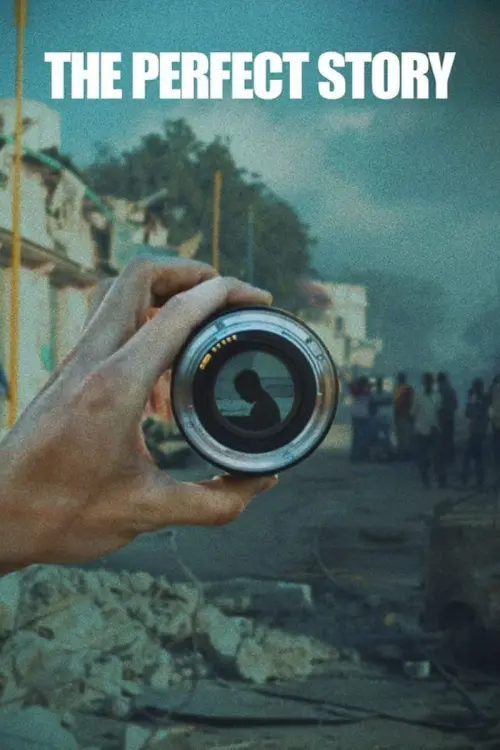 Постер до фільму "The Perfect Story"