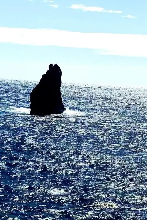 Постер до фільму "Fishes"