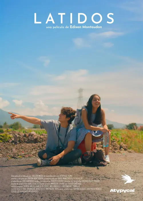 Постер до фільму "Heartbeats"