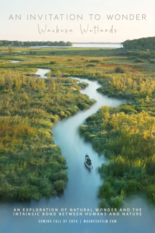 Постер до фільму "An Invitation to Wonder: Waubesa Wetlands"
