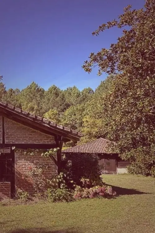 Постер до фільму "Latche, l