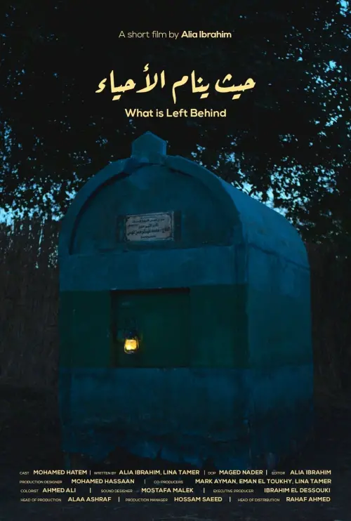 Постер до фільму "What is Left Behind"