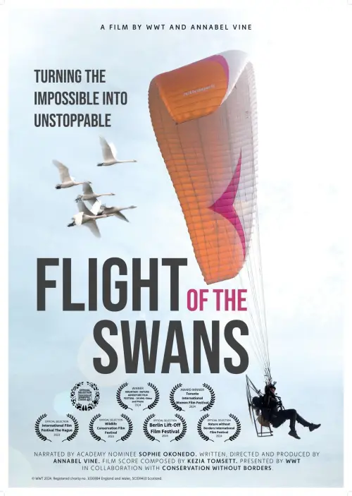 Постер до фільму "Flight of the Swans"