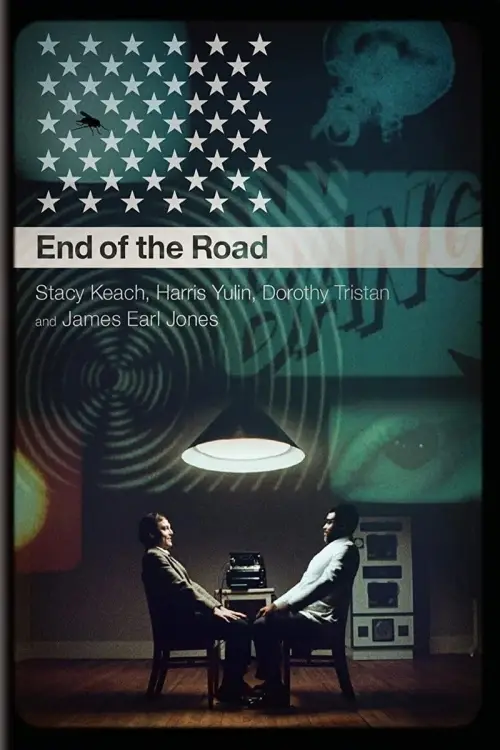 Постер до фільму "An Amazing Time: A Conversation About End of the Road"