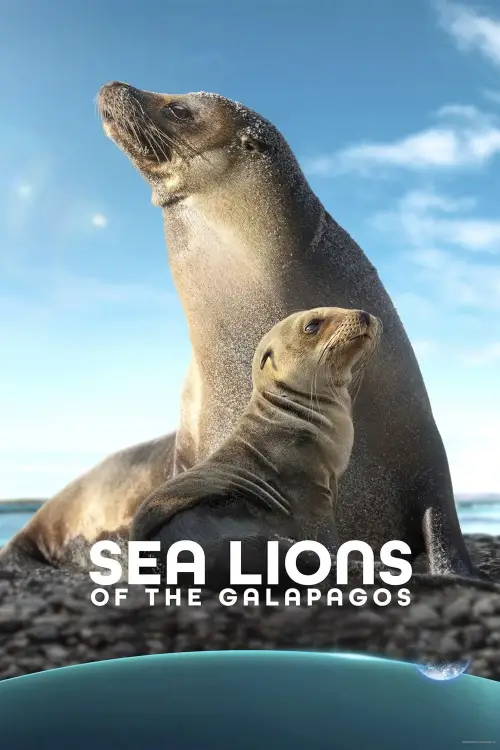 Постер до фільму "Sea Lions of the Galapagos"