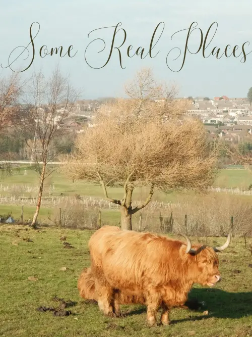 Постер до фільму "Some Real Places"