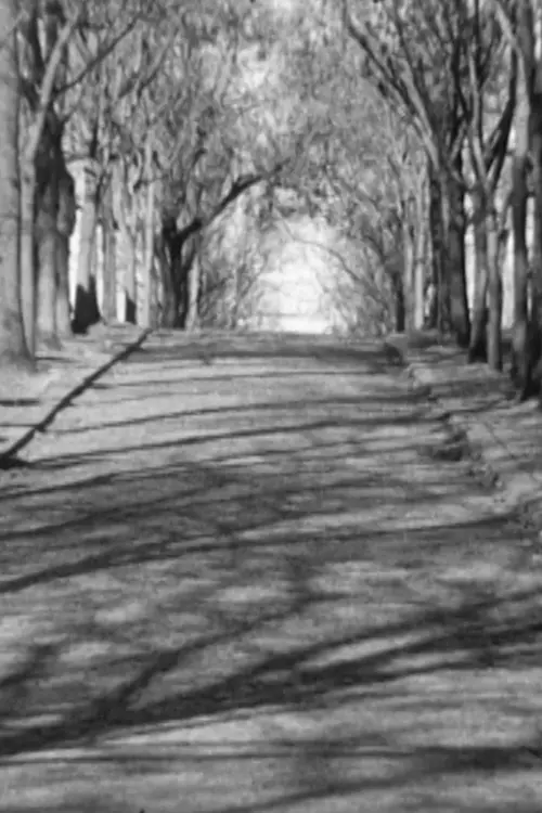 Постер до фільму "Jelena"