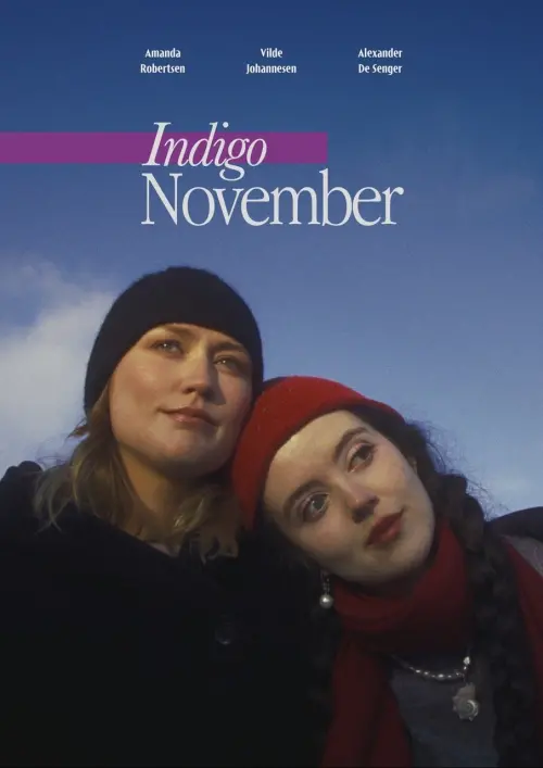 Постер до фільму "Indigo November"