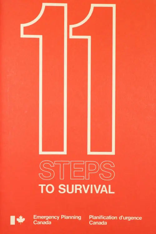 Постер до фільму "11 Steps to Survival"