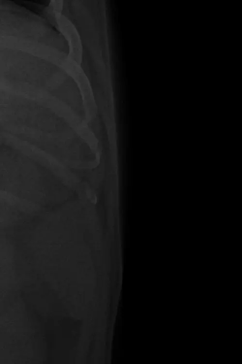 Постер до фільму "REIKI Y YOGA."