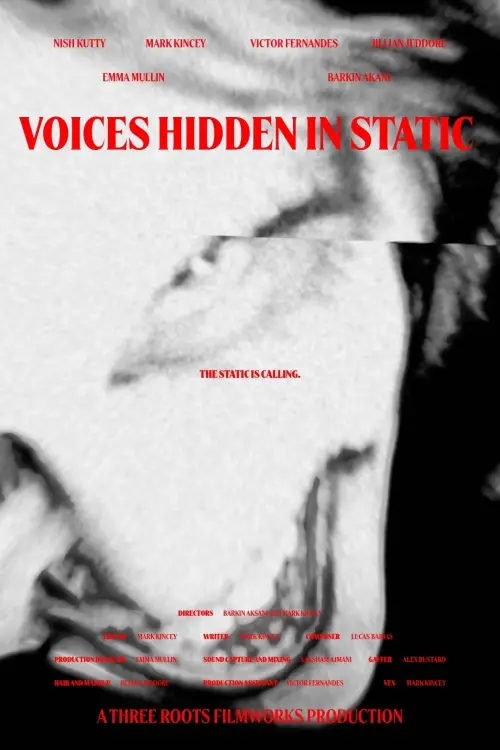 Постер до фільму "Voices Hidden in Static"