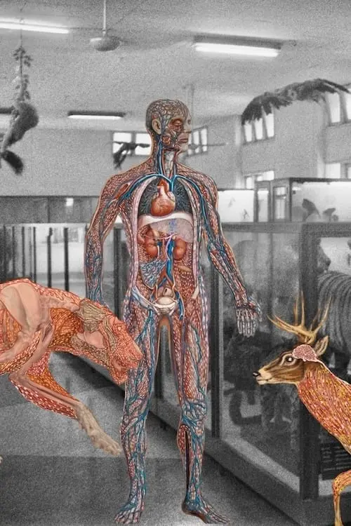 Постер до фільму "Myanmar Anatomy"