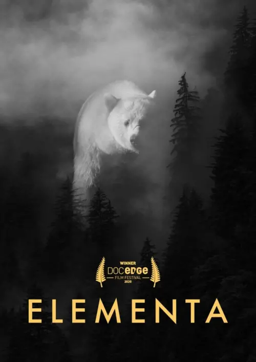 Постер до фільму "Elementa"