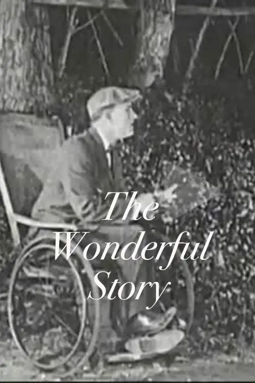 Постер до фільму "The Wonderful Story"