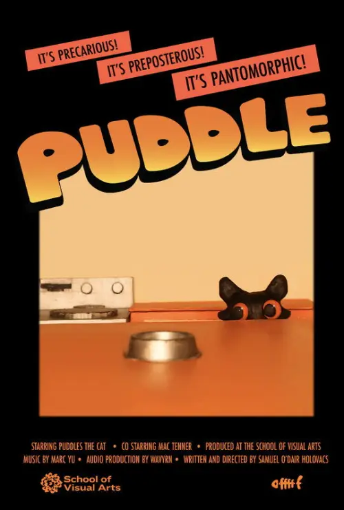 Постер до фільму "Puddle"