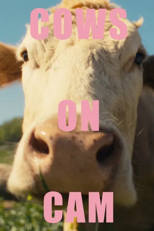 Постер до фільму "COWS ON CAM"