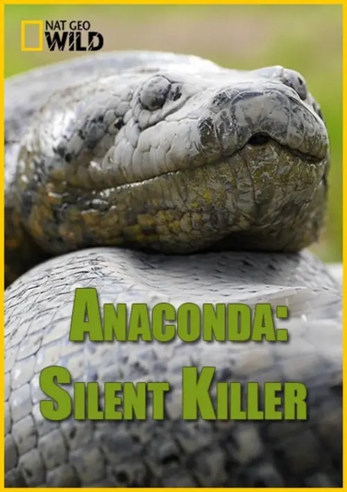Постер до фільму "Anaconda: Silent Killer"