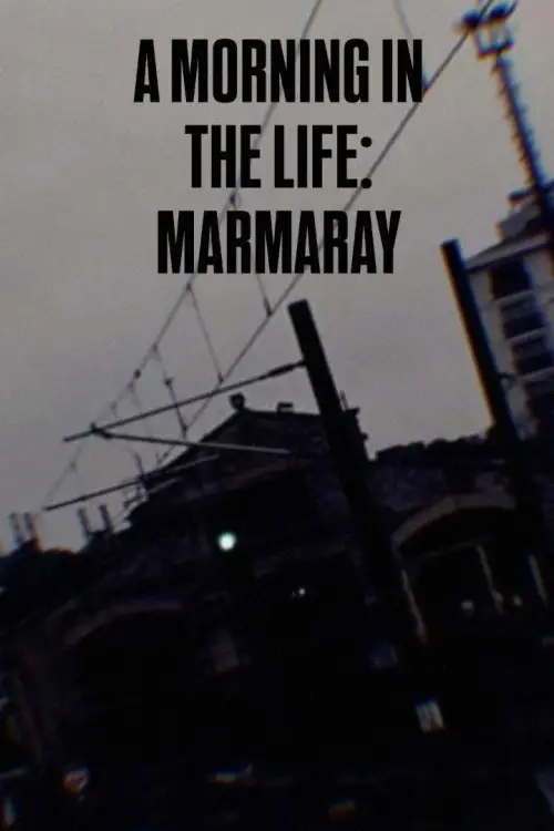 Постер до фільму "A Morning in the Life: Marmaray"