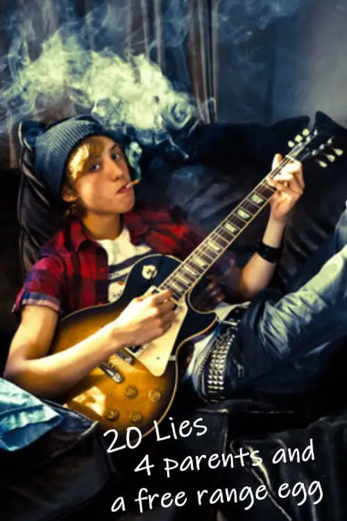 Постер до фільму "20 Lies, 4 Parents and a Little Egg"