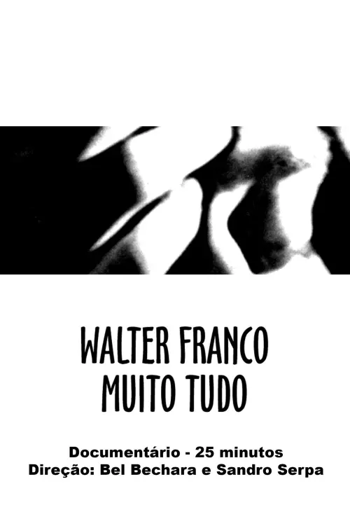 Постер до фільму "Walter Franco Much Everything"