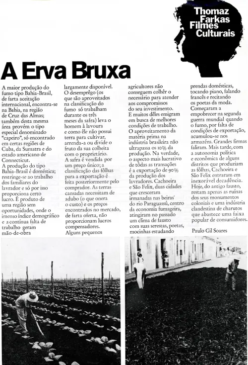 Постер до фільму "A Erva Bruxa"