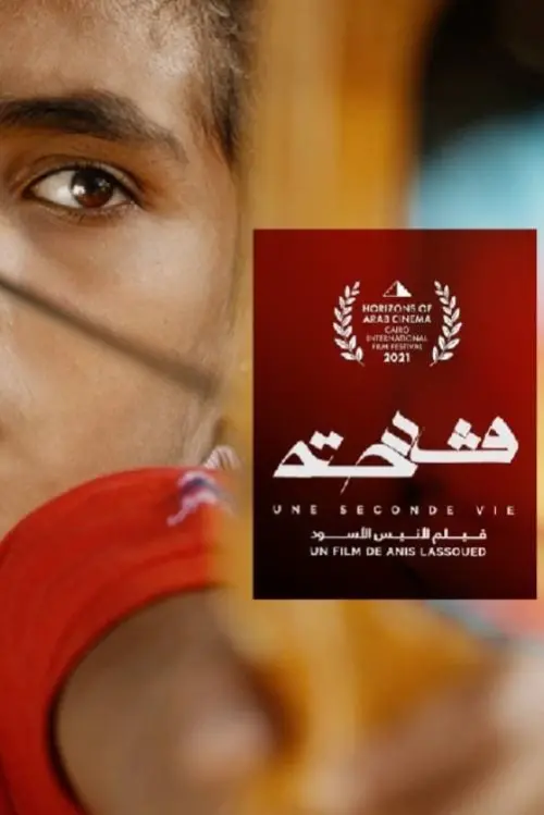 Постер до фільму "A Second Life"