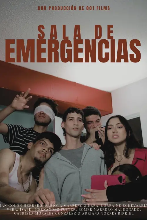 Постер до фільму "Emergency Room"