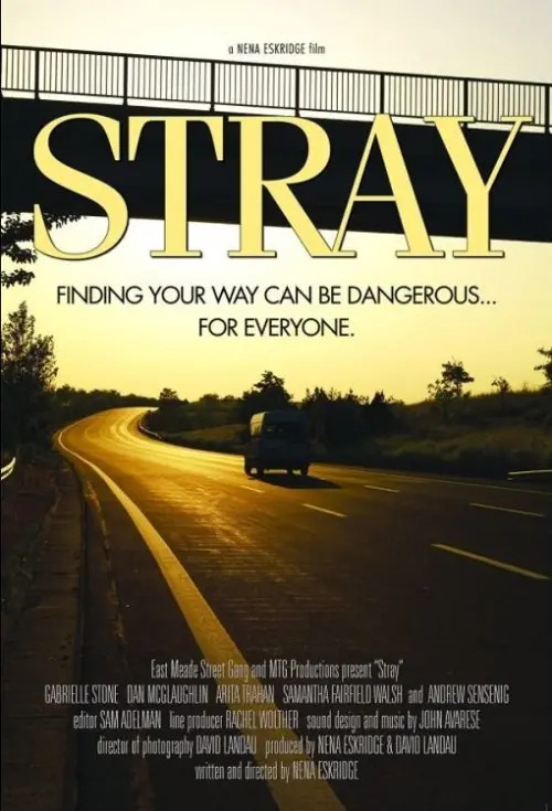 Постер до фільму "Stray"
