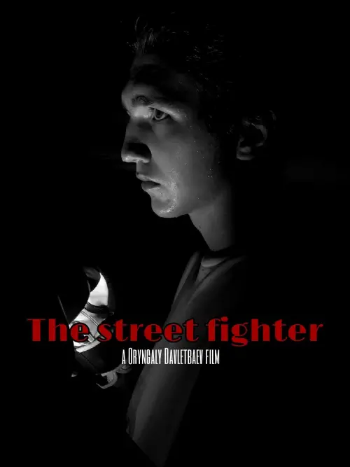 Постер до фільму "The street fighter"