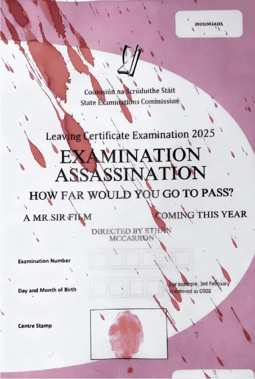 Постер до фільму "Examination Assassination"