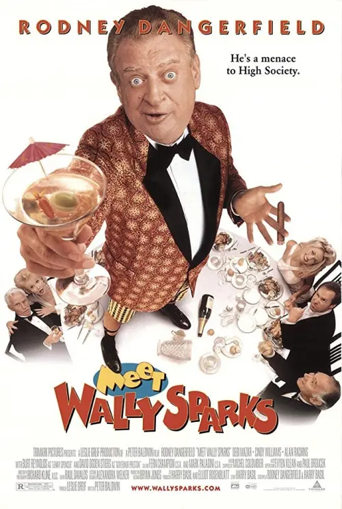 Постер до фільму "Meet Wally Sparks"