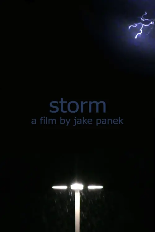 Постер до фільму "storm"