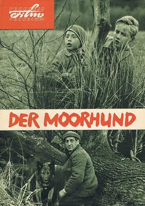 Постер до фільму "The Moorhound"