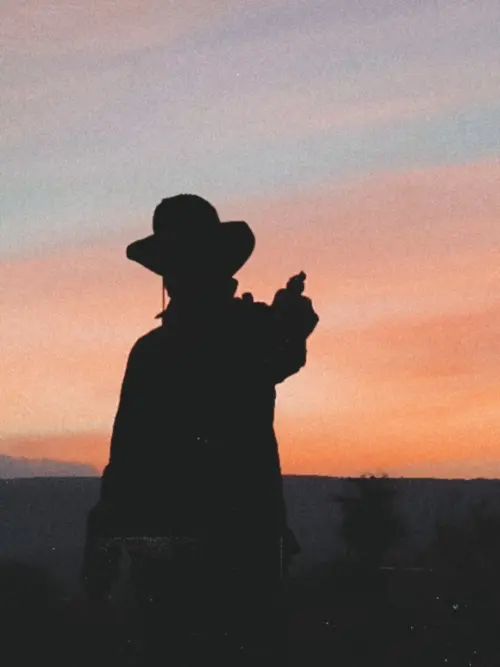 Постер до фільму "The Last Man Standing"