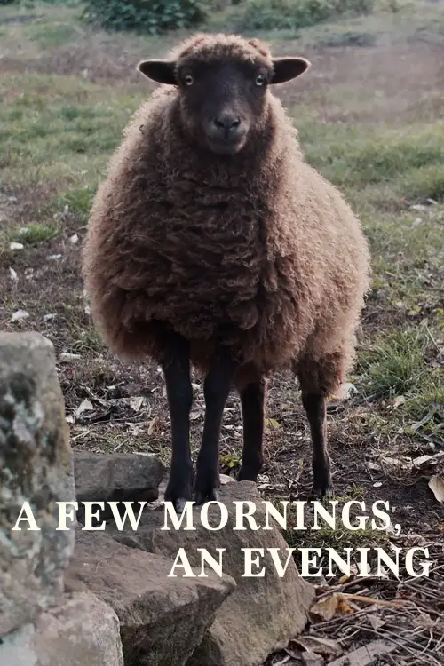 Постер до фільму "A Few Mornings, an Evening"
