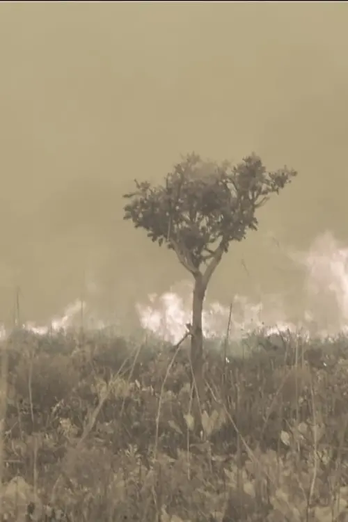 Постер до фільму "Tales from the Source"