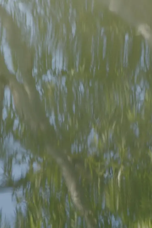 Постер до фільму "Lacerations"