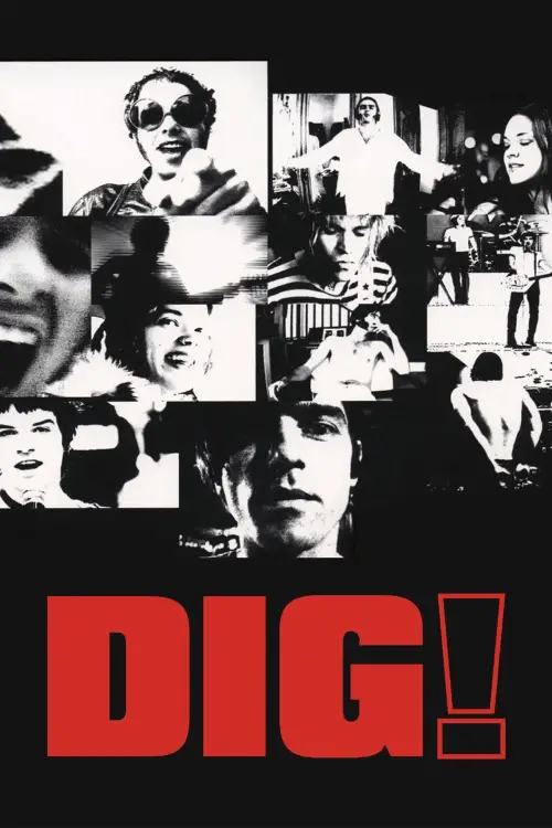 Постер до фільму "Dig!"