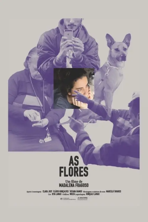 Постер до фільму "As Flores"