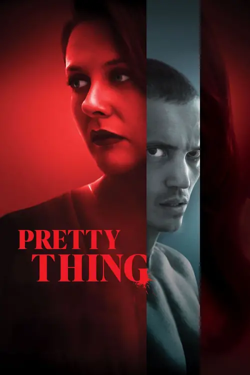 Постер до фільму "Pretty Thing"