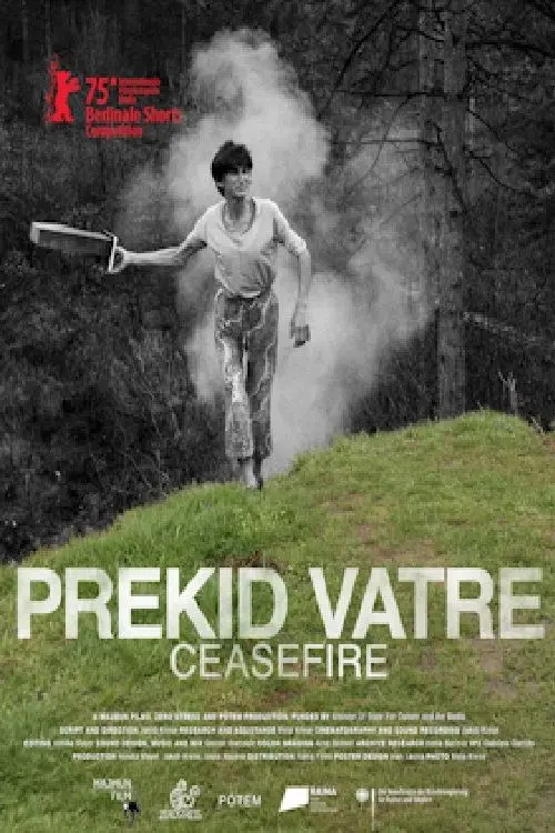 Постер до фільму "Ceasefire"