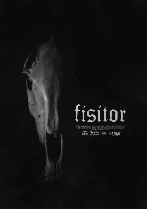 Постер до фільму "Fisitor"