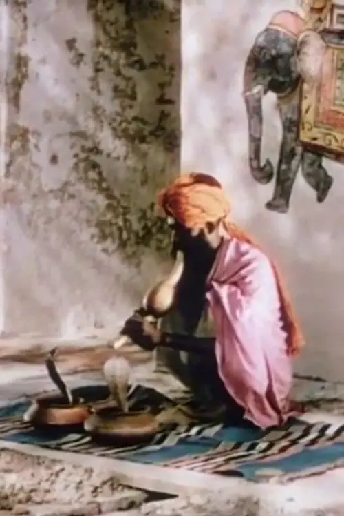 Постер до фільму "A Road in India"