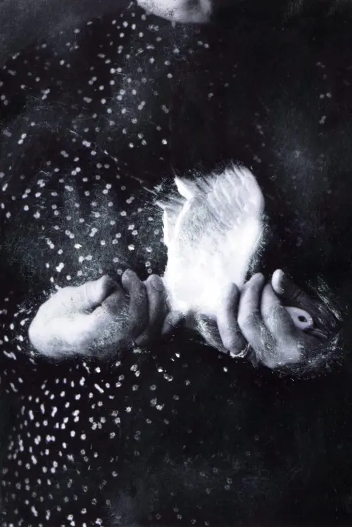 Постер до фільму "A Place to Call Home"