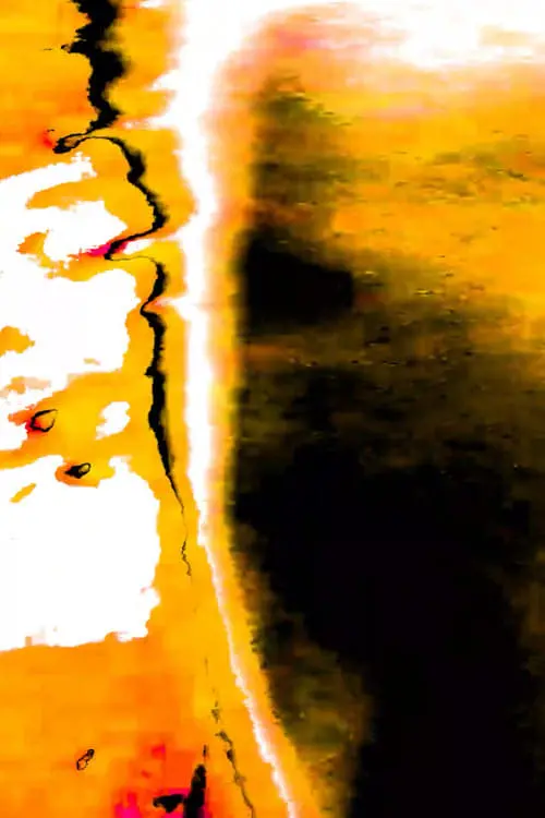 Постер до фільму "Pulmão Vagalume"