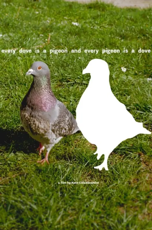 Постер до фільму "every dove is a pigeon and every pigeon is a dove"