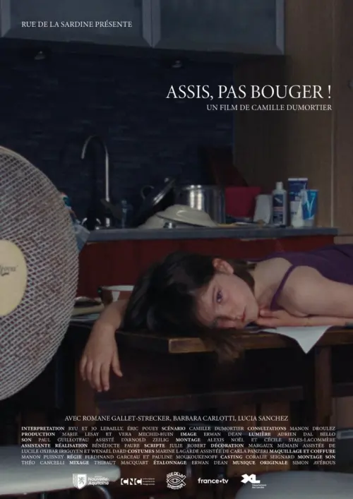 Постер до фільму "Assis, pas bouger"
