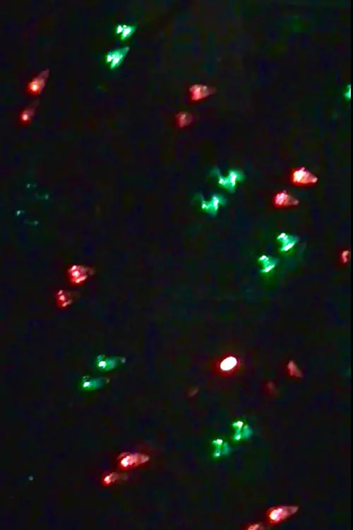 Постер до фільму "Christmas Elegy for a Summer Day"