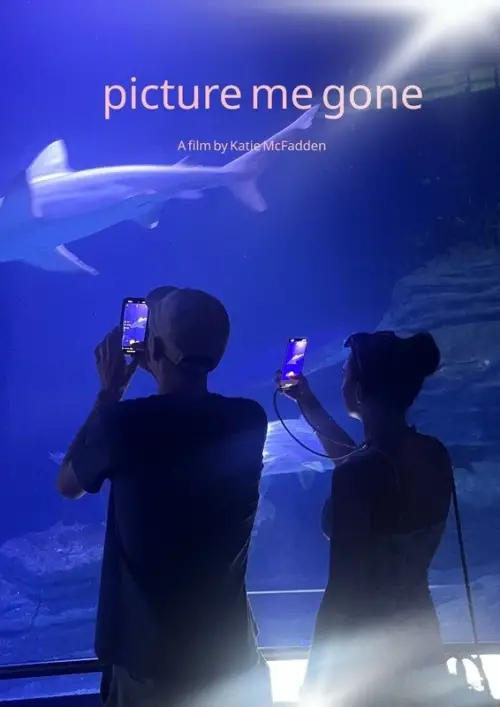 Постер до фільму "Picture Me Gone"