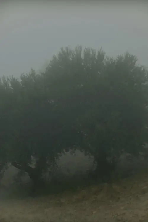 Постер до фільму "Why Do I See You in Everything?"